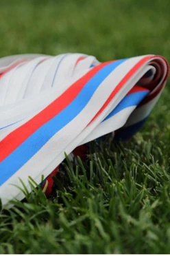 Лента триколор 25 см, с шириной 2,4 см#2