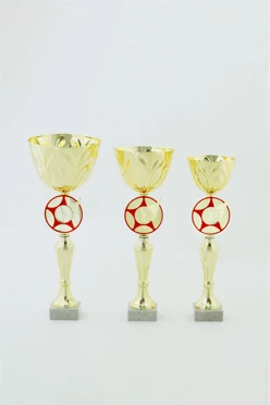 Кубок ИК0024#1 Кубок ИК0024#1