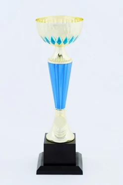 Кубок ИК0012#2 Кубок ИК0012#2