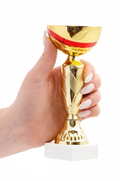 Кубок ИК0033#1 Кубок ИК0033#1