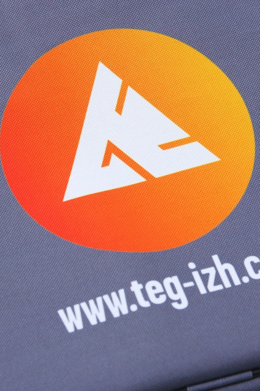 Сумка Ворд с ручками 25х35 см, с полной запечаткой "Teg-izh grey"#1