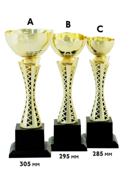 Купить кубок ИК0014 Купить кубок ИК0014