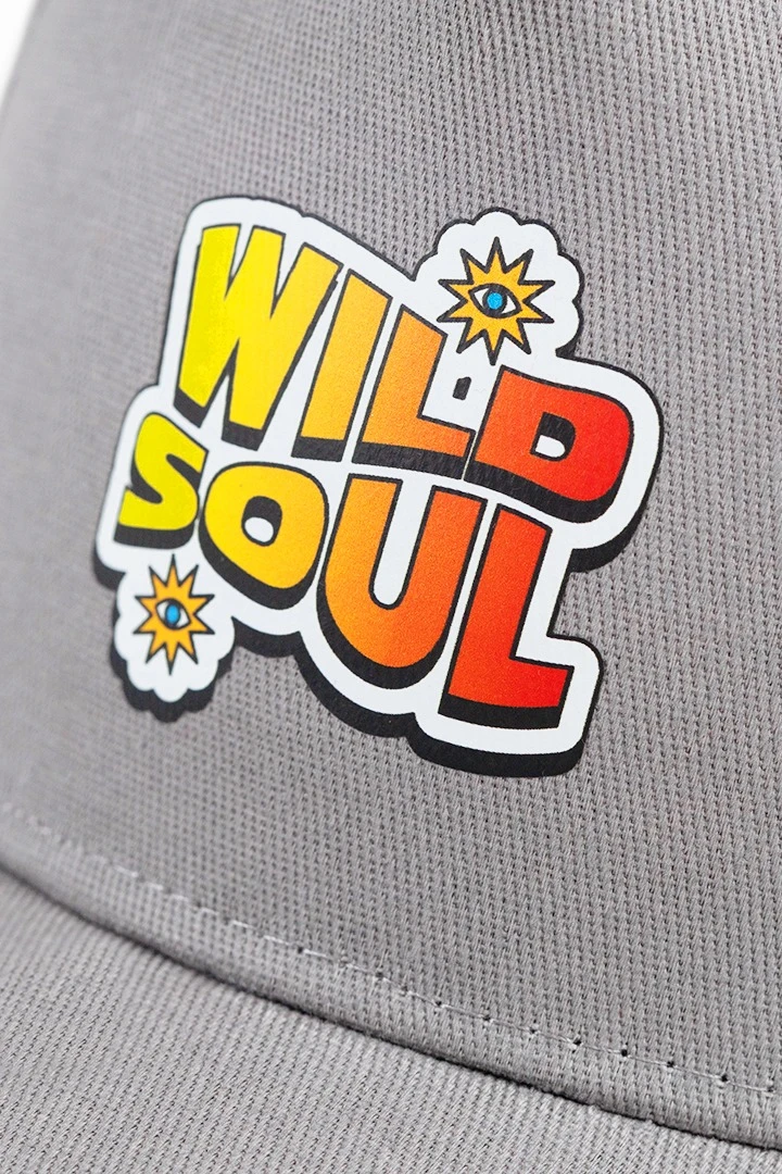 Купить бейсболку Актив пятиклинку взрослую, однотонную "Wild Soul"