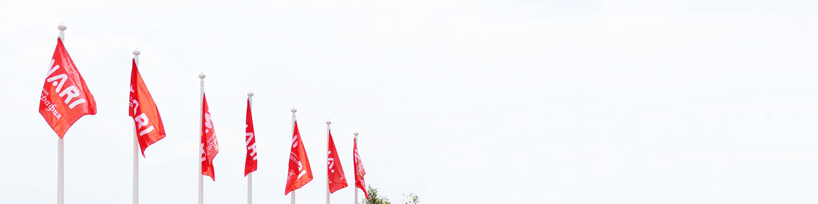 INARI - Производственная компания | INARI