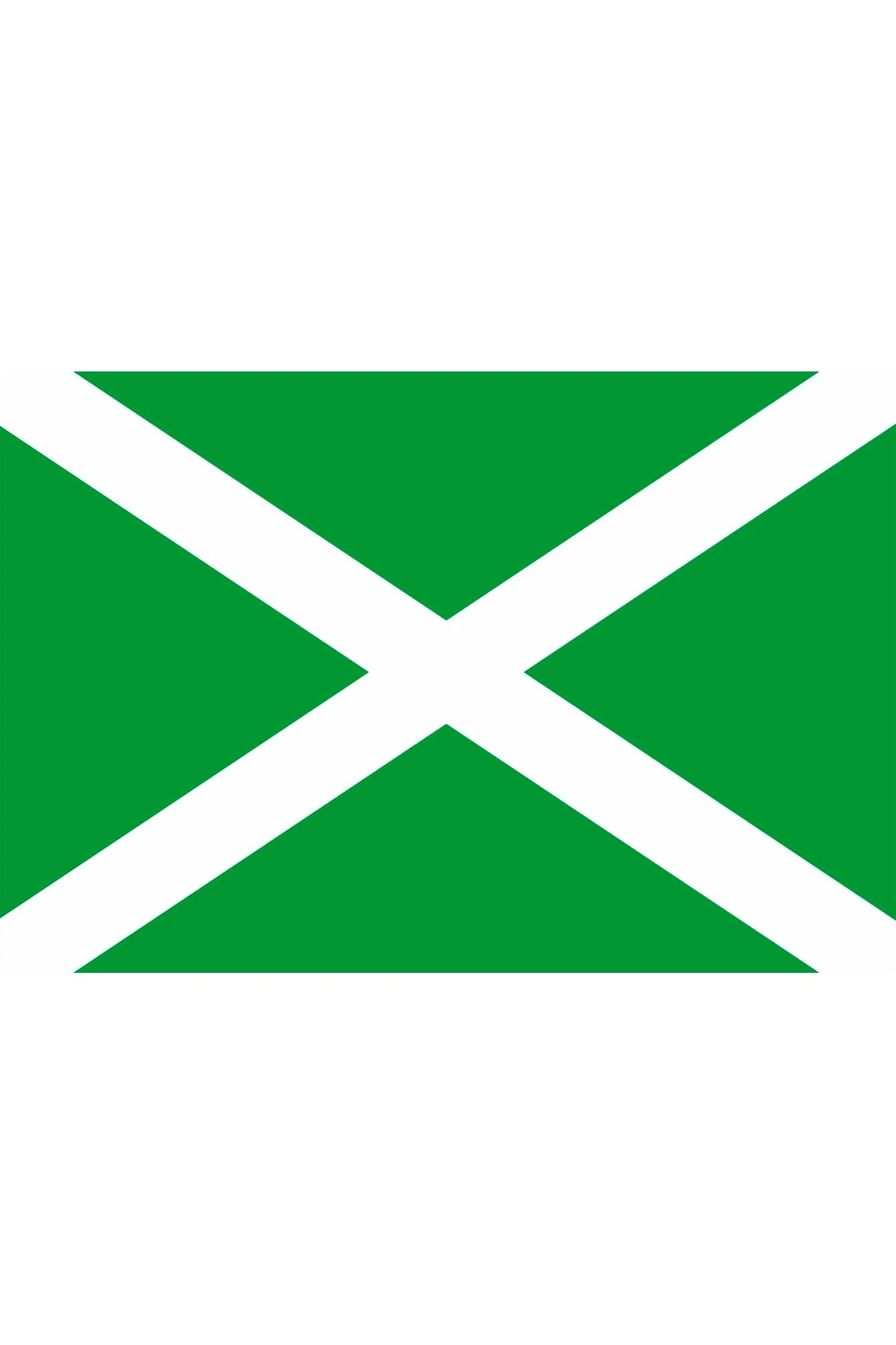 Флажок Таможни#1