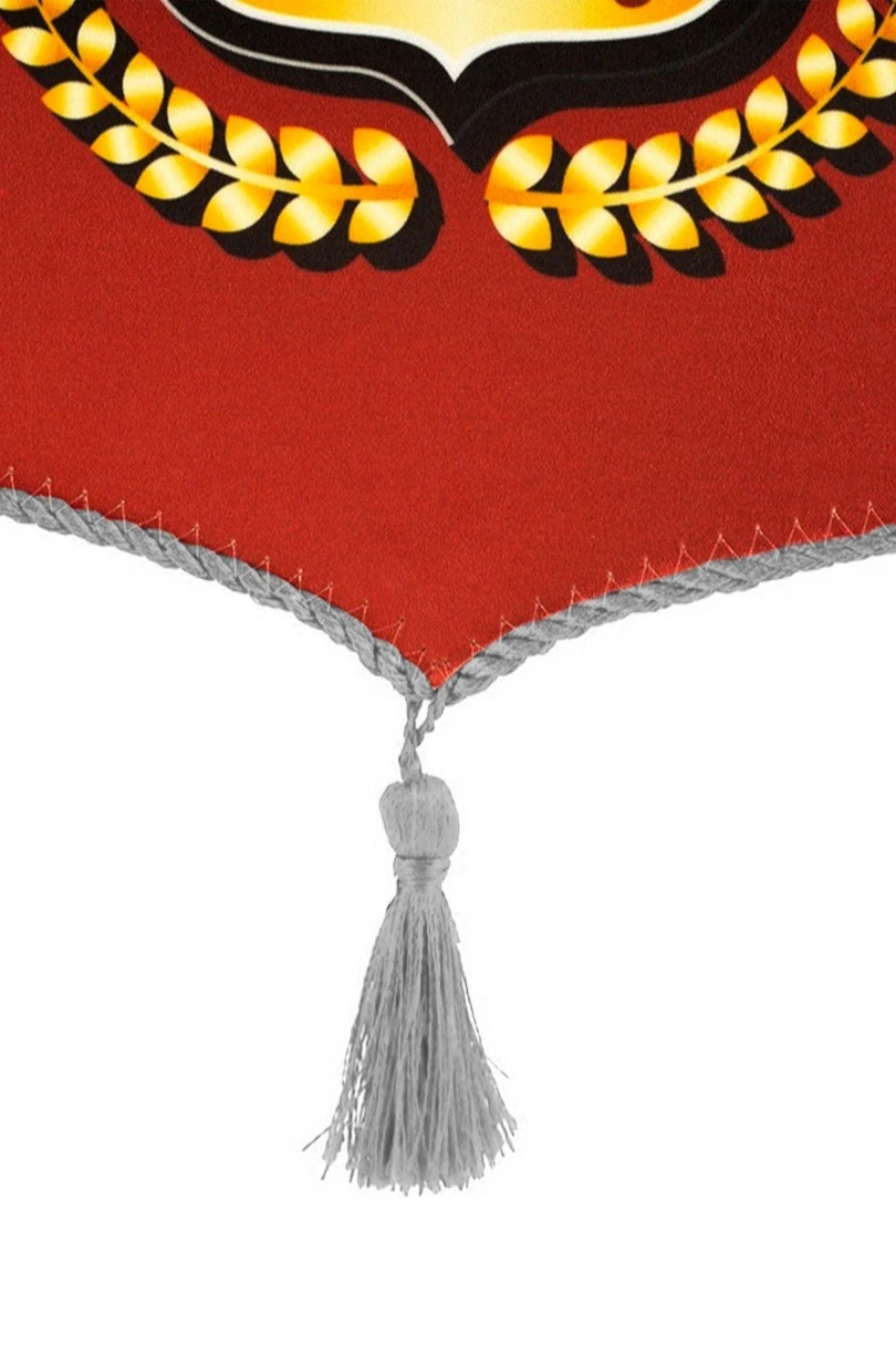 Вымпел Герб печатный со шнуром, декоративная кисть, 20х30 см#1