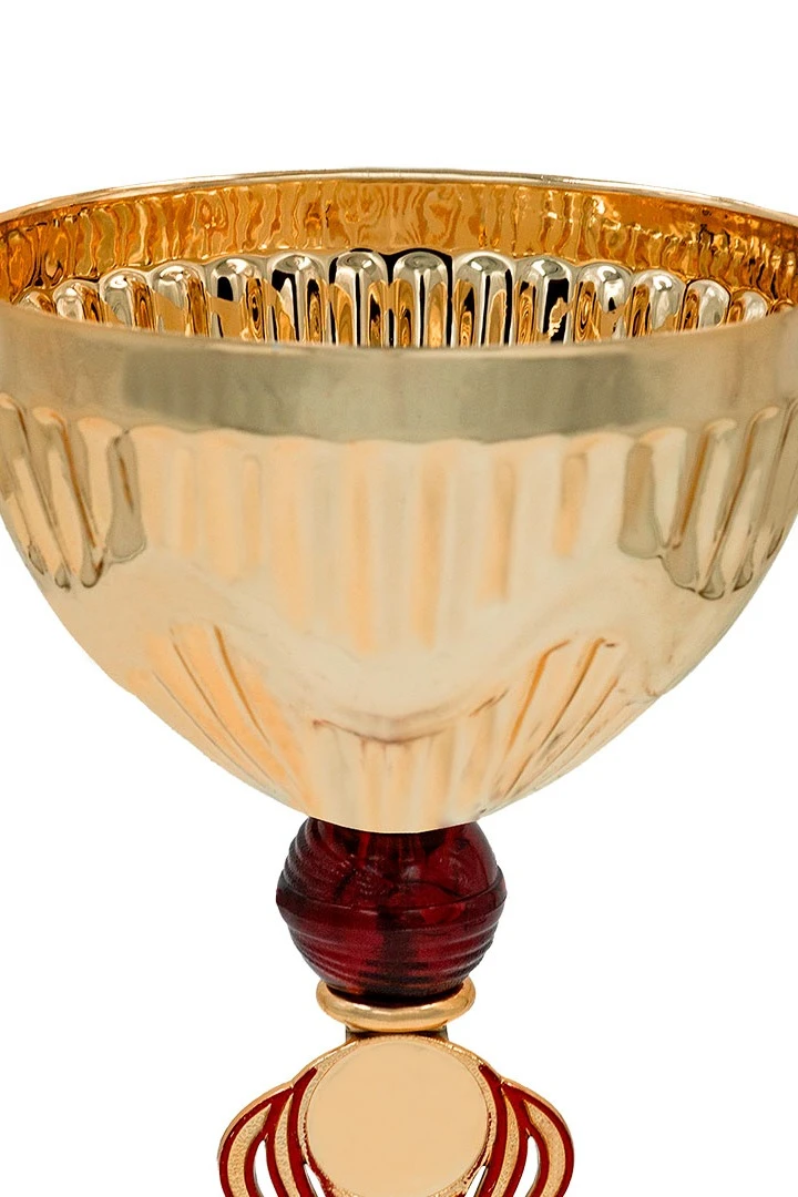 Кубок ИК0072#3