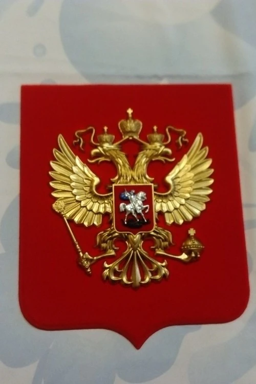 Герб РФ 22х26 см, барельеф, щит флокированный, краска#5