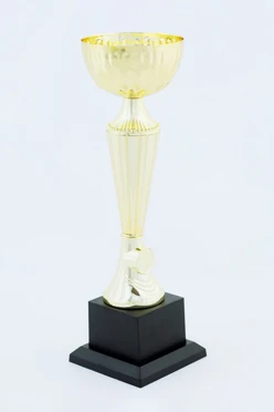 Кубок ИК0013#2 Кубок ИК0013#2