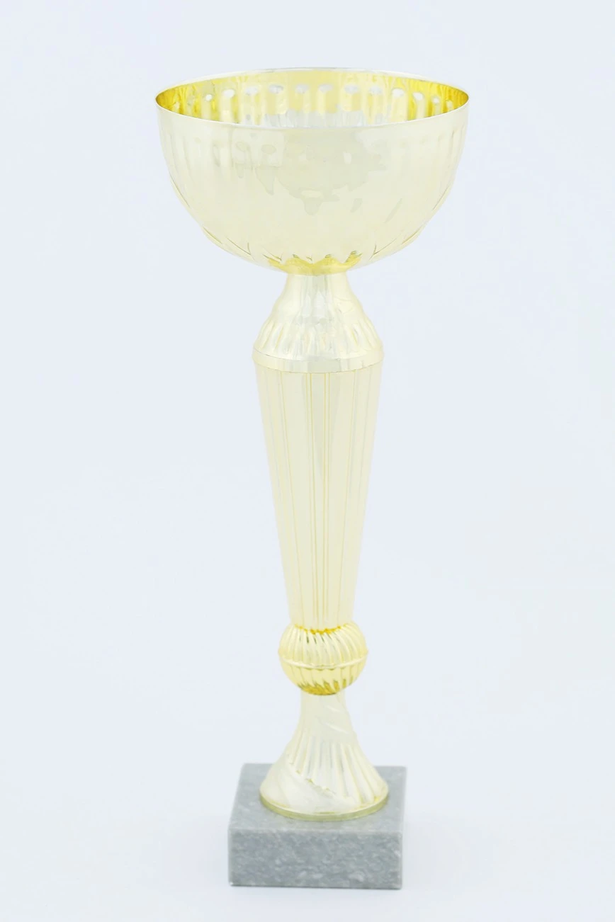 Кубок ИК0019#2