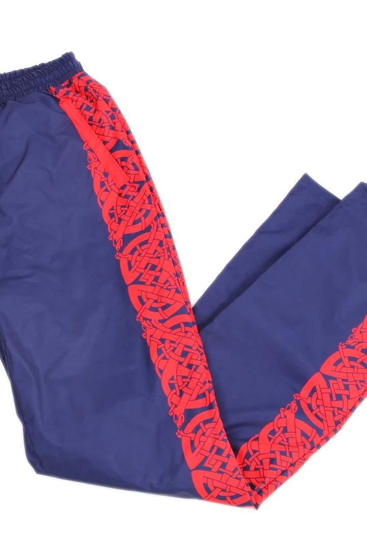 Брюки Олимпик спортивные унисекс с полной запечаткой "Dragons"#2