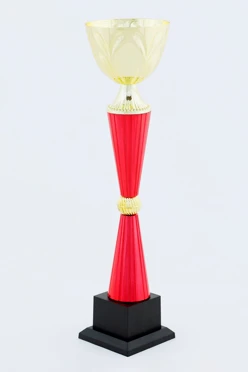 Кубок ИК0020#2 Кубок ИК0020#2