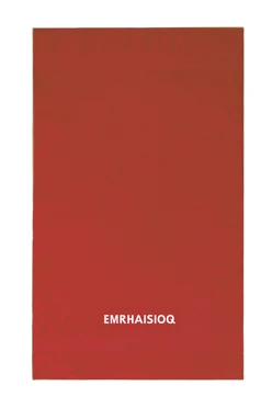 Купить полотенце махровое 50х90 см с вышивкой (Ituma), шоколад