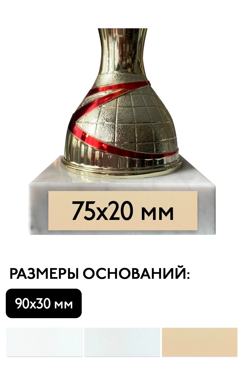 Шильд прямоугольный 75х20 мм#1