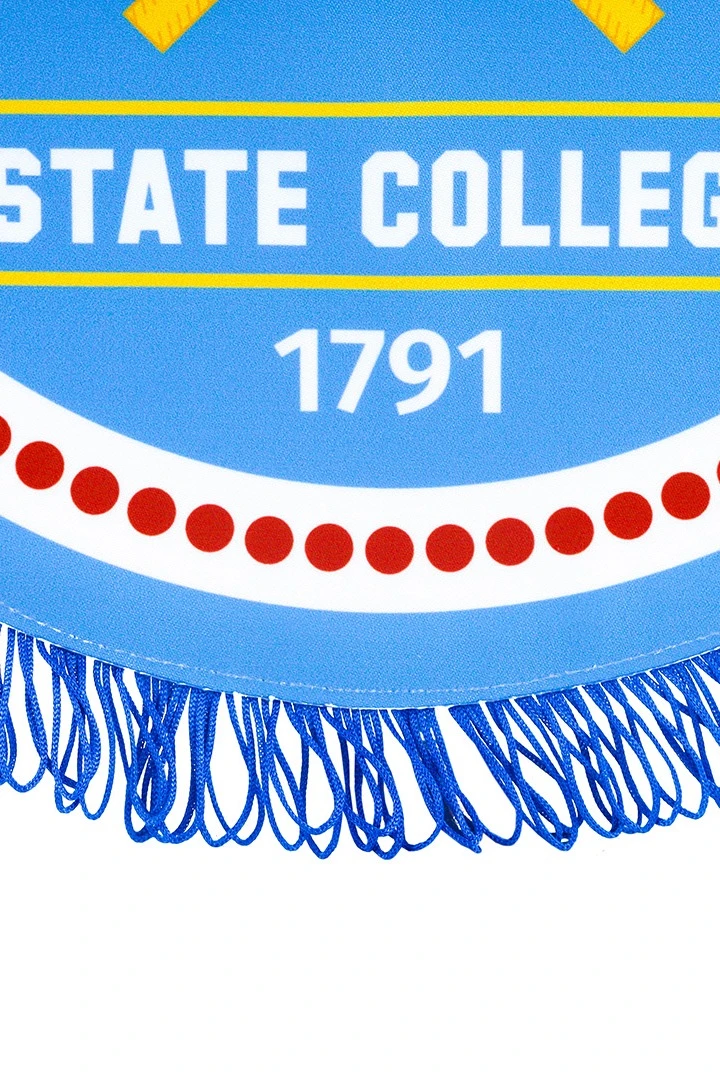 Вымпел Дуга печатный с бахромой, 30х40 см#2