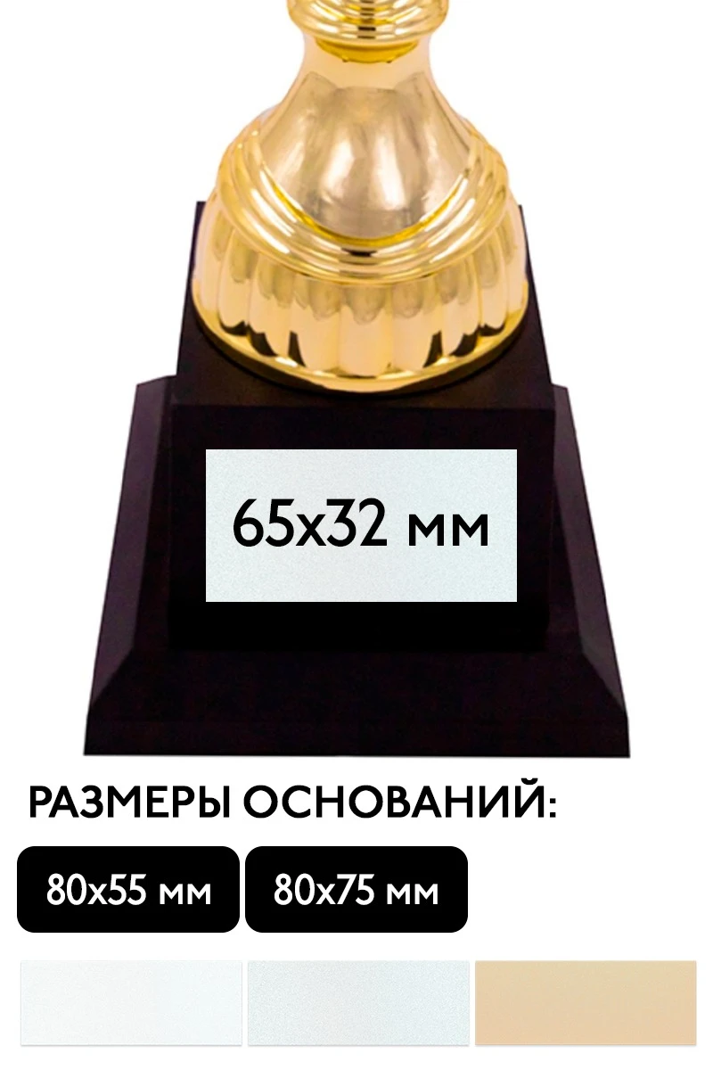 Шильд прямоугольный 65x32 мм#2