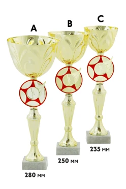 Купить кубок ИК0024 Купить кубок ИК0024