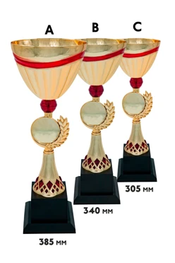 Купить кубок ИК0063 Купить кубок ИК0063