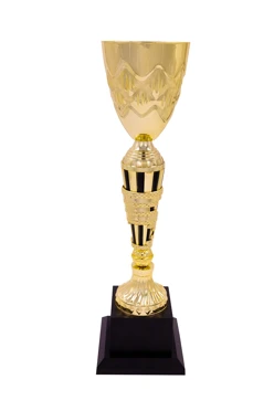 Купить кубок ИК0083 Купить кубок ИК0083