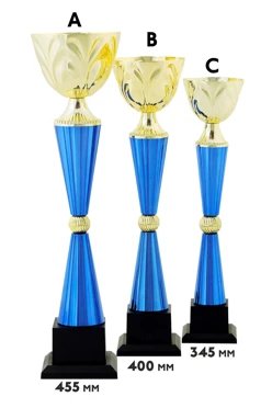 Купить кубок ИК0021 Купить кубок ИК0021