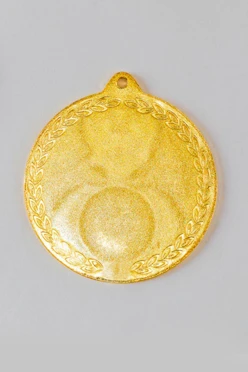 Медаль металлическая МК294 70мм#2