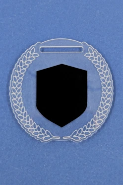 Медаль из акрила АК5011 Круг 50 мм с гравировкой#2