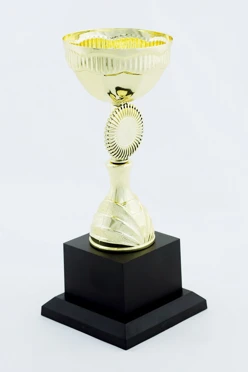 Кубок ИК0025#2 Кубок ИК0025#2