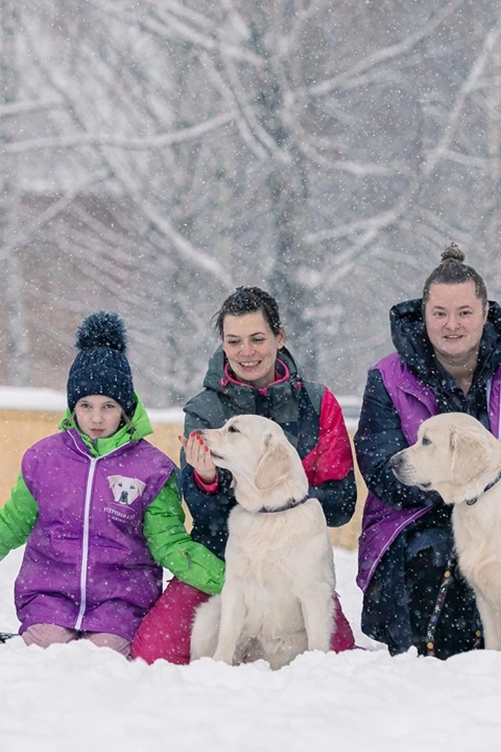 Купить жилет Портер с полной запечаткой "Rottweiler"