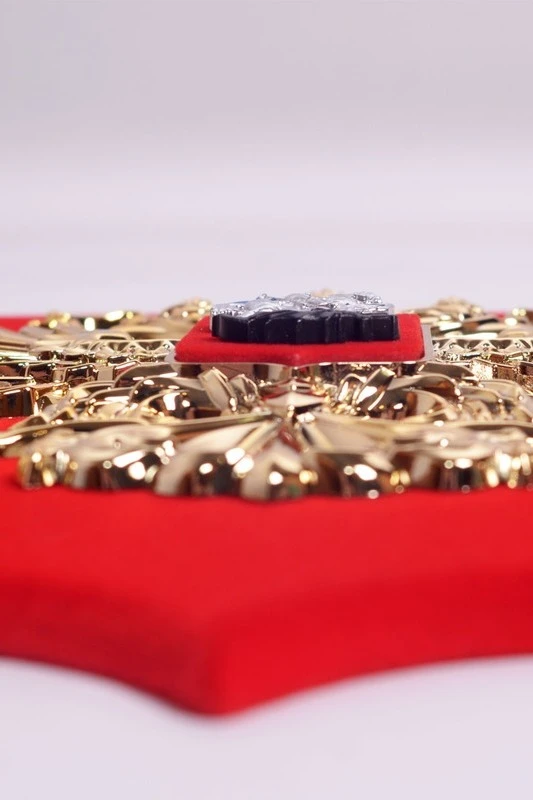 Герб РФ 22х26 см, барельеф, щит флокированный, металлонапыление#5