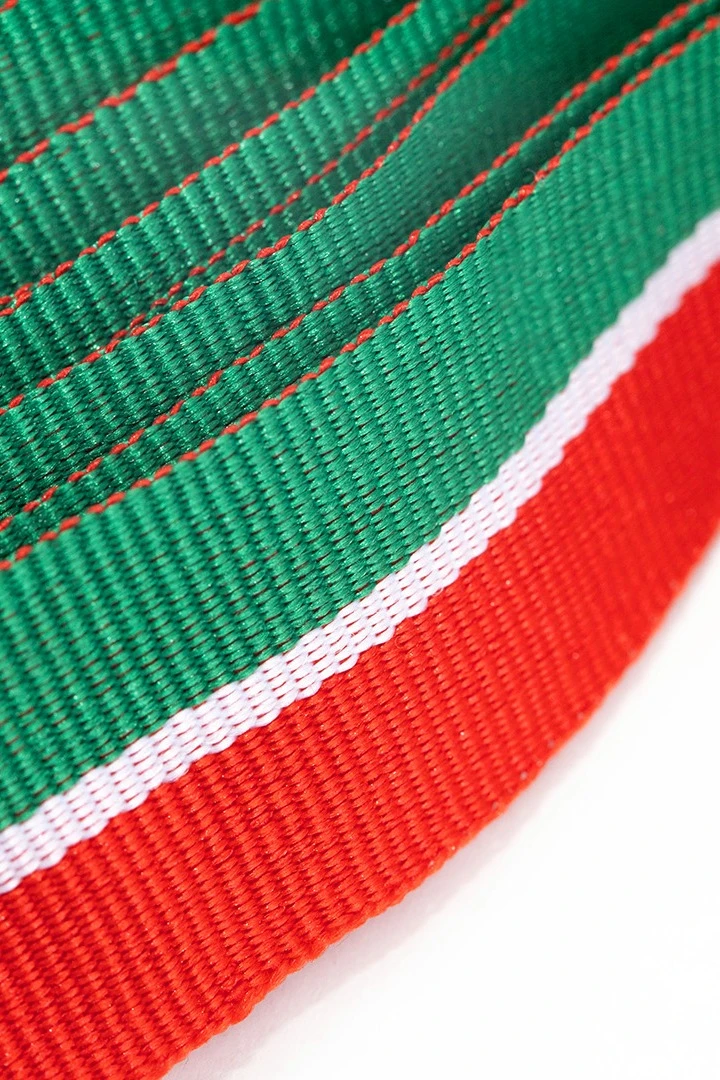 Лента для медали Татарстан репс ширина 2,2 см, с карабином#1