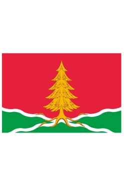 Купить Флаг Тонашевского района