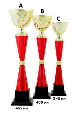 Купить кубок ИК0020 Купить кубок ИК0020