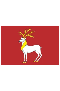 Купить флаг Ростова