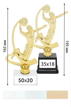 Купить приз "Баскетболист В192"