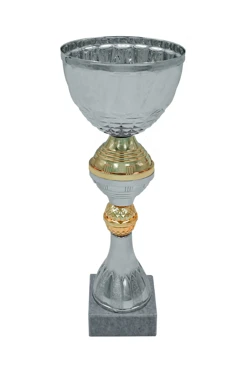 Кубок ИК0070#1 Кубок ИК0070#1
