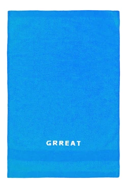 Купить полотенце махровое 40х70 см с вышивкой (Color), голубое