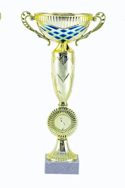 Кубок ИК0028#2 Кубок ИК0028#2