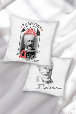 Купить подушку 40х40 см, с принтом "Unity of spirit, brotherhood"