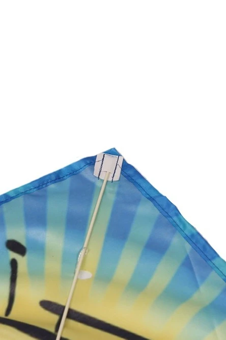 Воздушный змей Малек с полной запечаткой "Invasion"#3