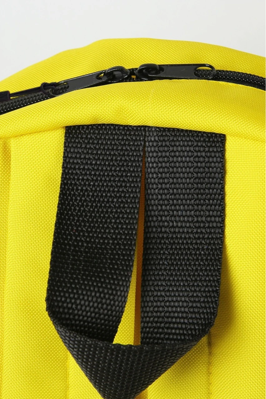 Рюкзак Кэрри мягкой формы 41х31х9,5 см, с полной запечаткой "Raid"#3