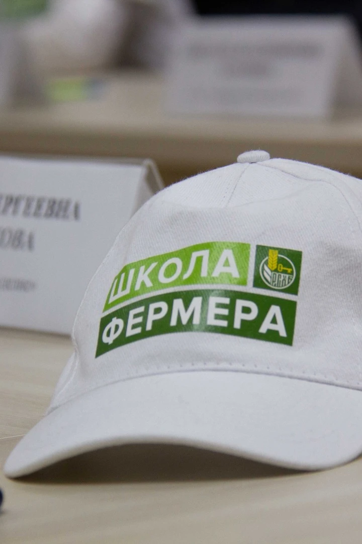 Бейсболка Полувелюр пятиклинка взрослая, однотонная (хлопок)#5