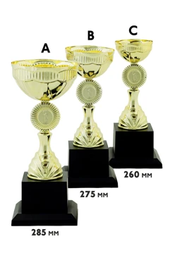 Купить кубок ИК0025 Купить кубок ИК0025