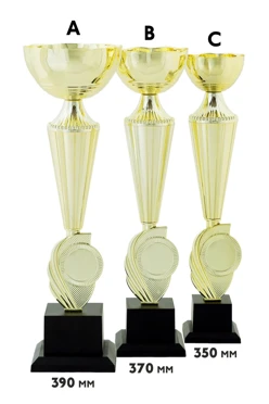 Купить кубок ИК0029 Купить кубок ИК0029