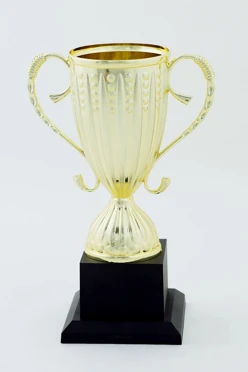 Кубок ИК0002#2 Кубок ИК0002#2