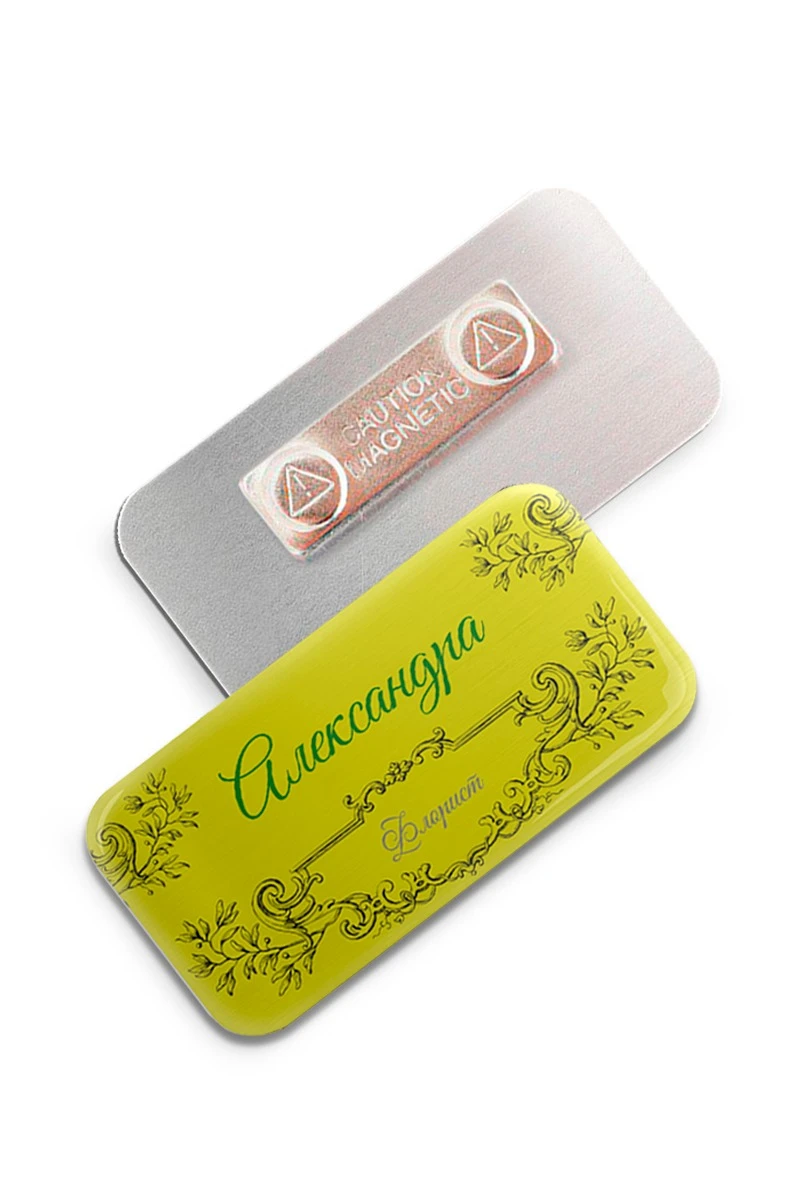 Купить бейдж металлический 30х60 мм без окна "Александра"