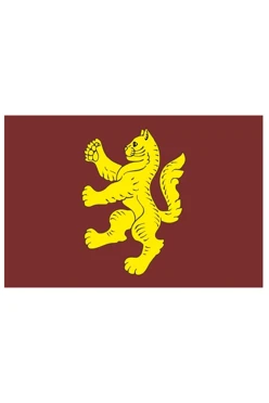 Купить флаг Котово