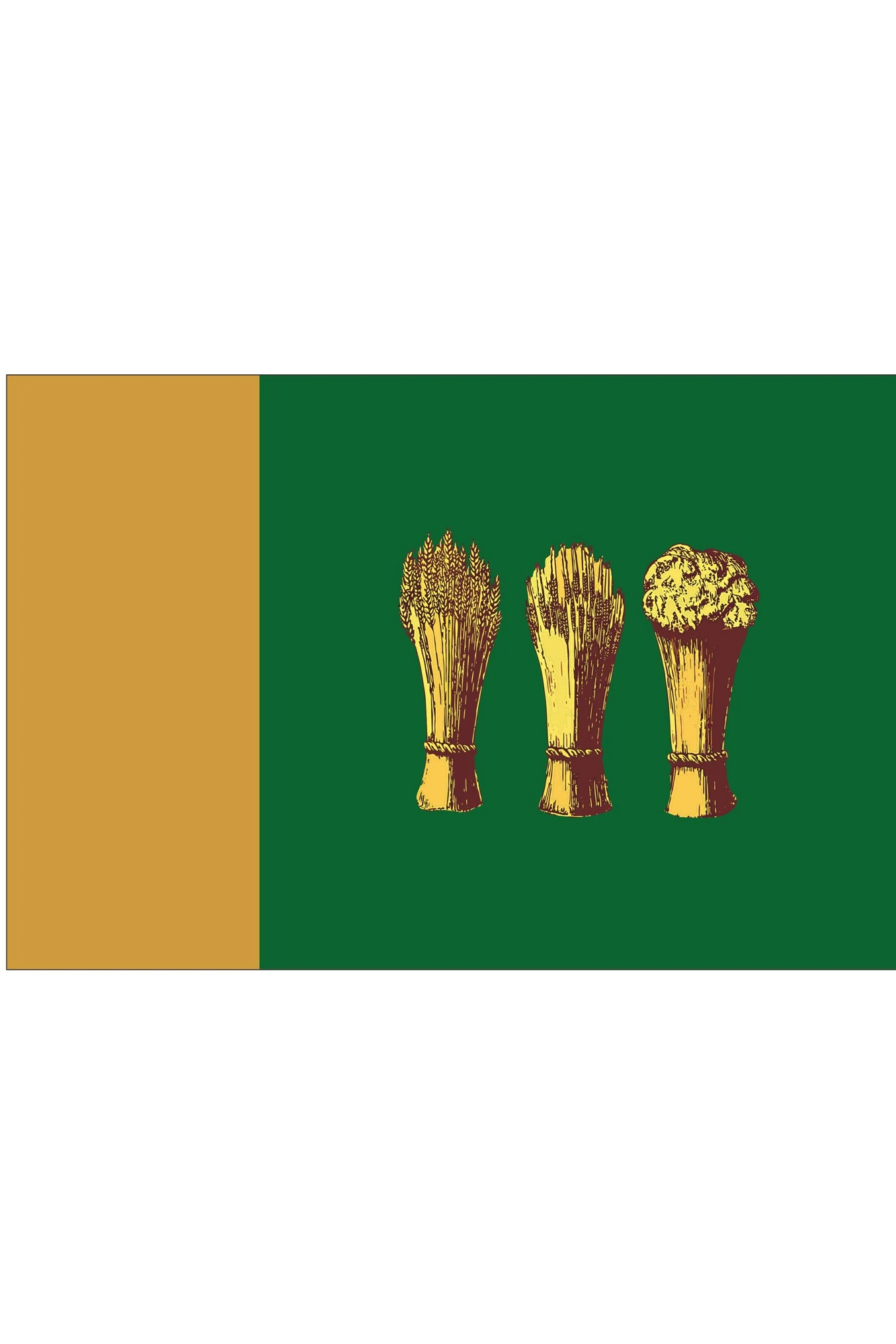 Купить флаг Пензы