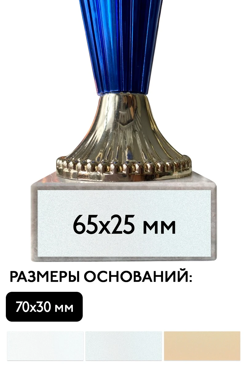 Шильд прямоугольный 65х25 мм#2