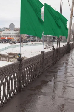 Купить Флаг расцвечивания 100х150 см зелёный