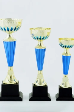 Кубок ИК0012#1 Кубок ИК0012#1